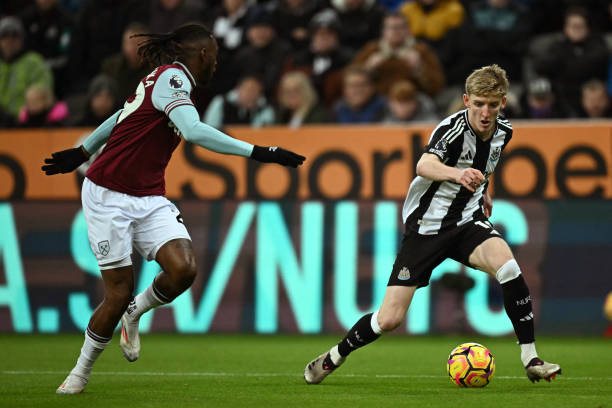 力新星到赢 力新星到赢