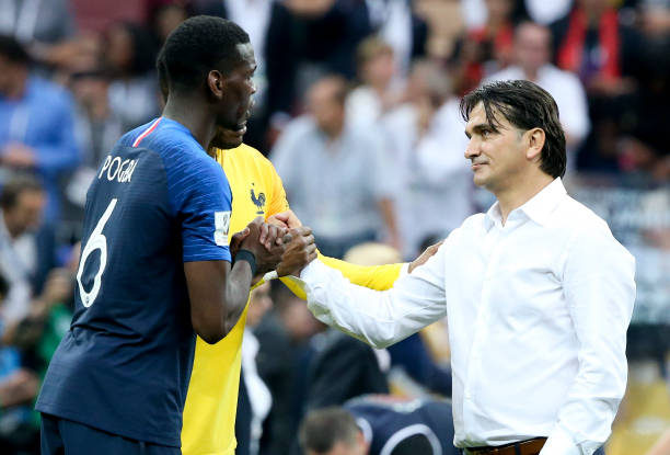 技运动员的 技运动员的