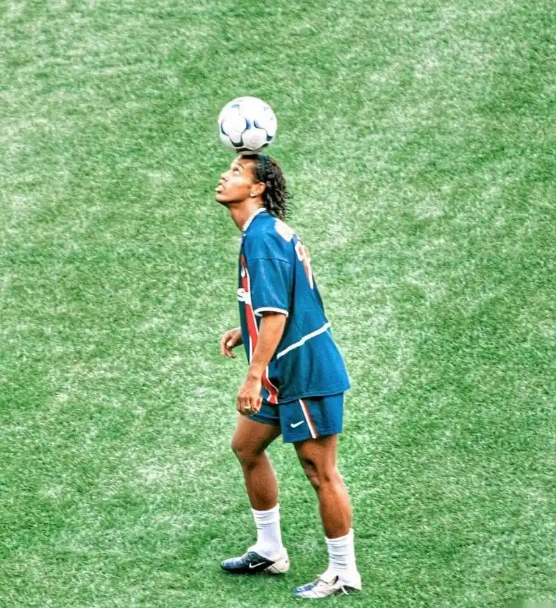 他们为提高 他们为提高